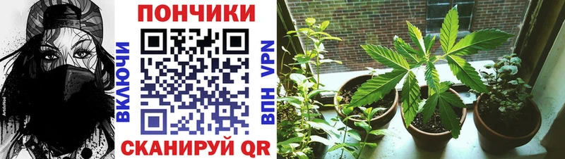 Купить A PVP  АМФ  Гашиш  Каннабис  Меф мяу мяу  Камышлов