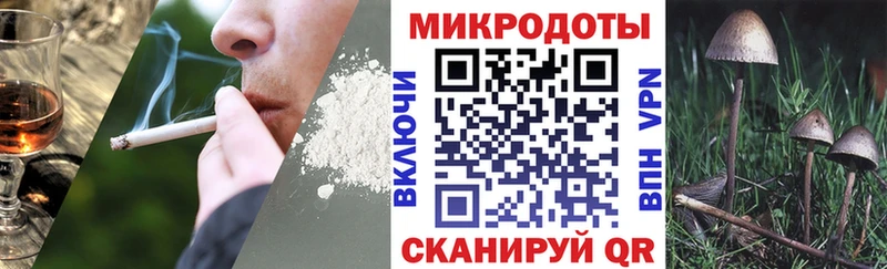 Купить закладки  Камышлов  Псилоцибиновые грибы Magic Shrooms 